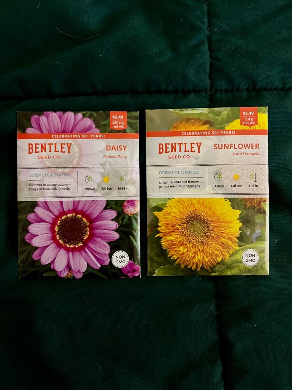🍒 5/$25 🍒 SEEDS | Dwarf Sungold Sunflower & Painted Daisy